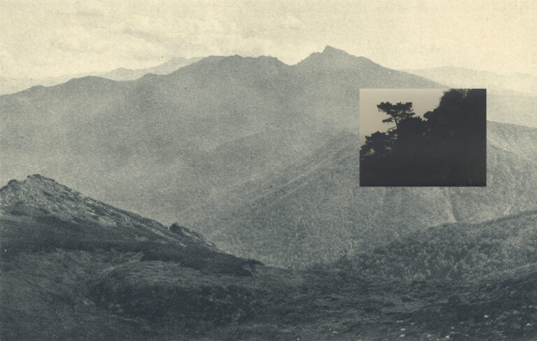Feiyi Wen, Under The Yuzu Tree (background)