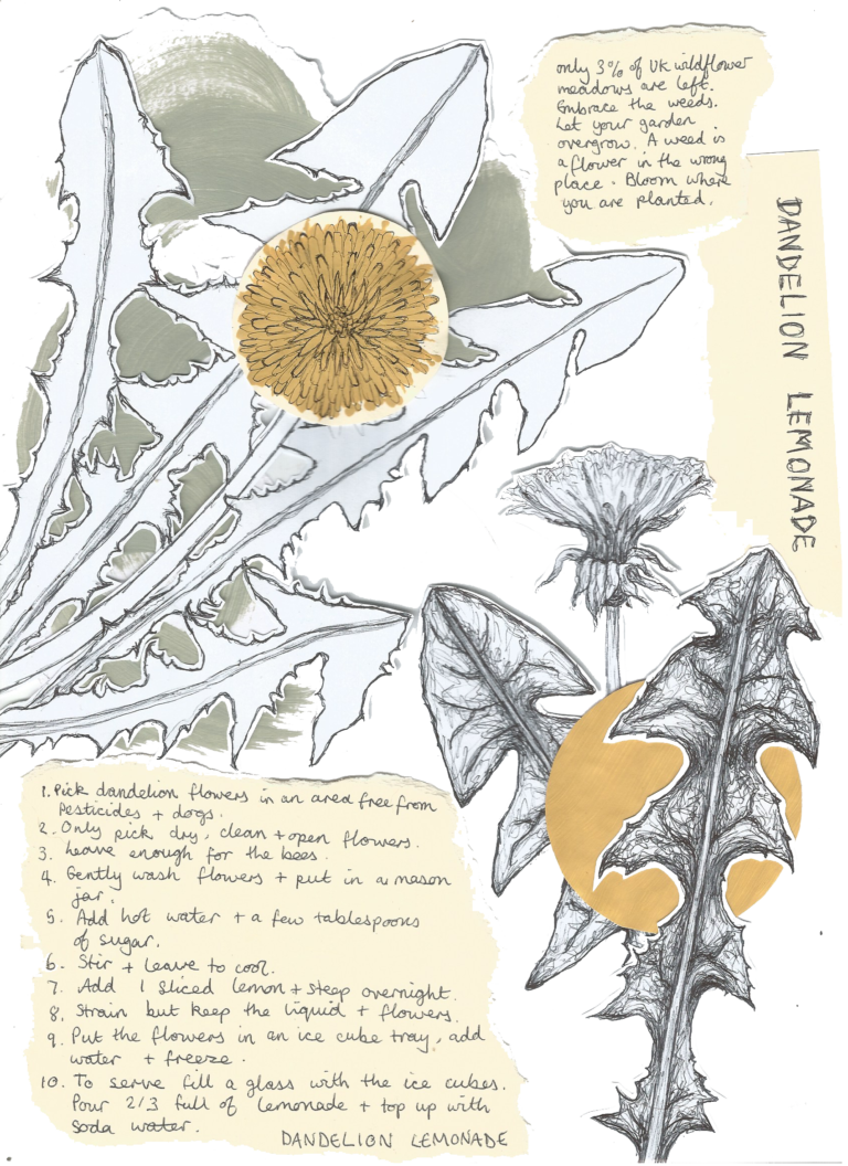 Dandelion Lemonade, Jay Hampton