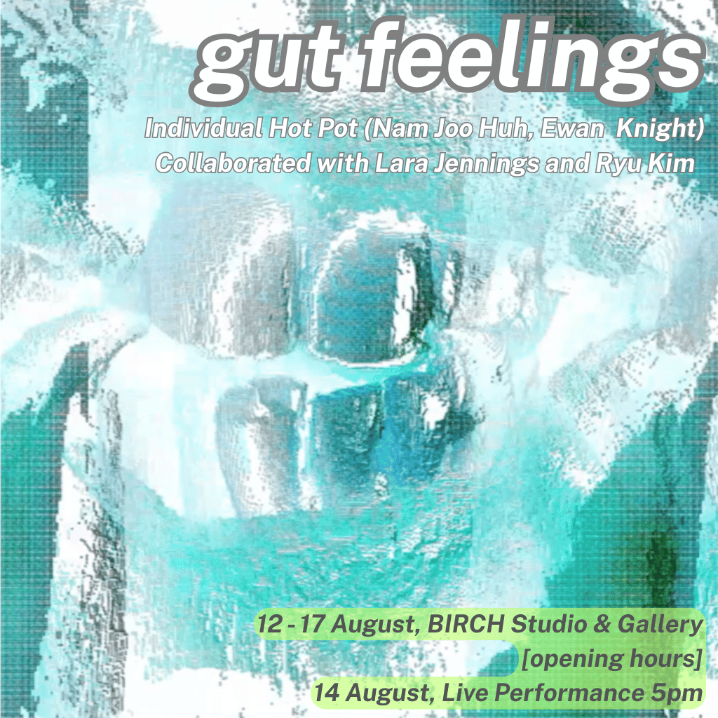Gut Feelings, Performance-Lecture